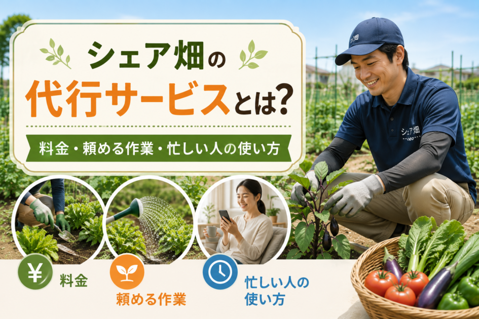 シェア畑の代行サービスで、利用者に代わって野菜の手入れや水やりを行うスタッフのイメージ
