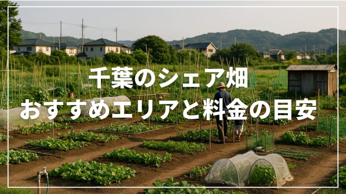 千葉のシェア畑｜おすすめエリアと料金の目安【空き区画の探し方も】