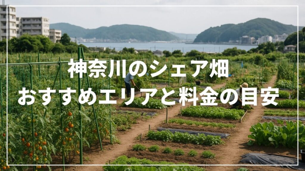 神奈川のシェア畑｜おすすめエリアと料金の目安【空き区画の探し方】