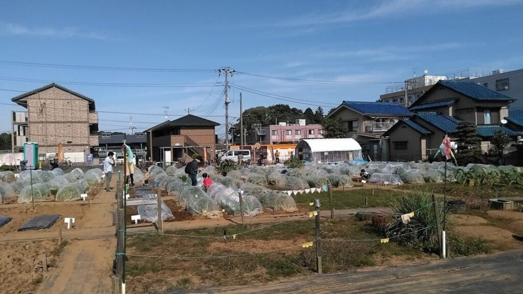 シェア畑 柏