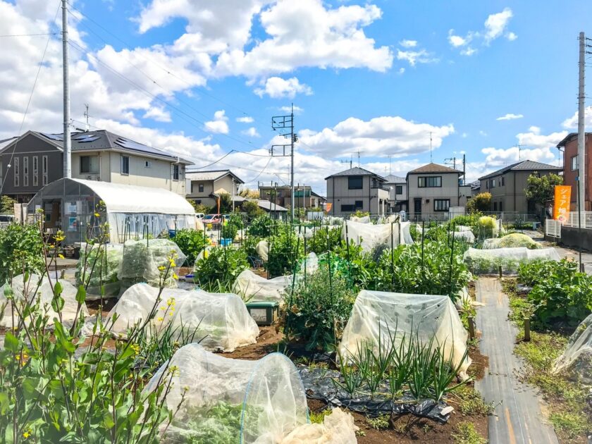 シェア畑 市川北方