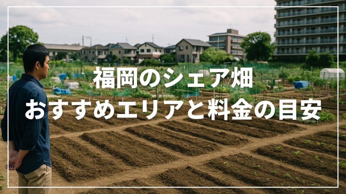 福岡のシェア畑｜おすすめエリアと料金の目安【空き区画の見方＆見学のコツ】