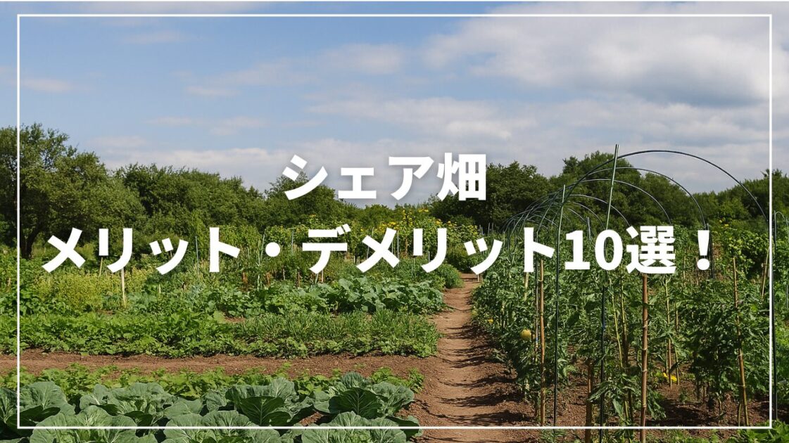 シェア畑のメリット・デメリット10選！料金・解約・始め方まで徹底解説