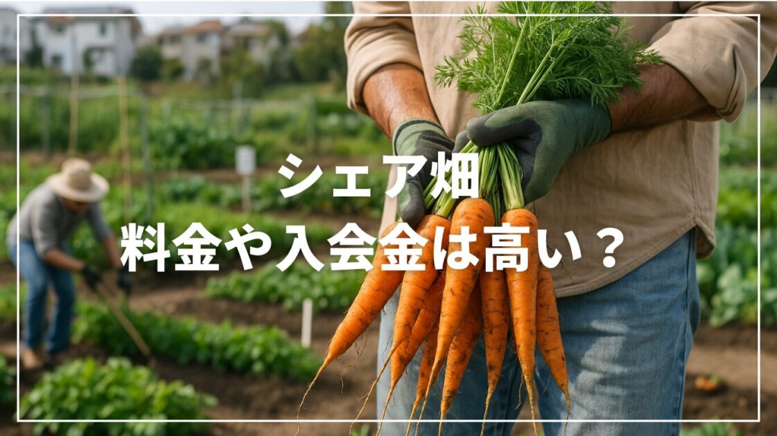 シェア畑の料金や入会金は高い？その相場と他社との比較を徹底解説！
