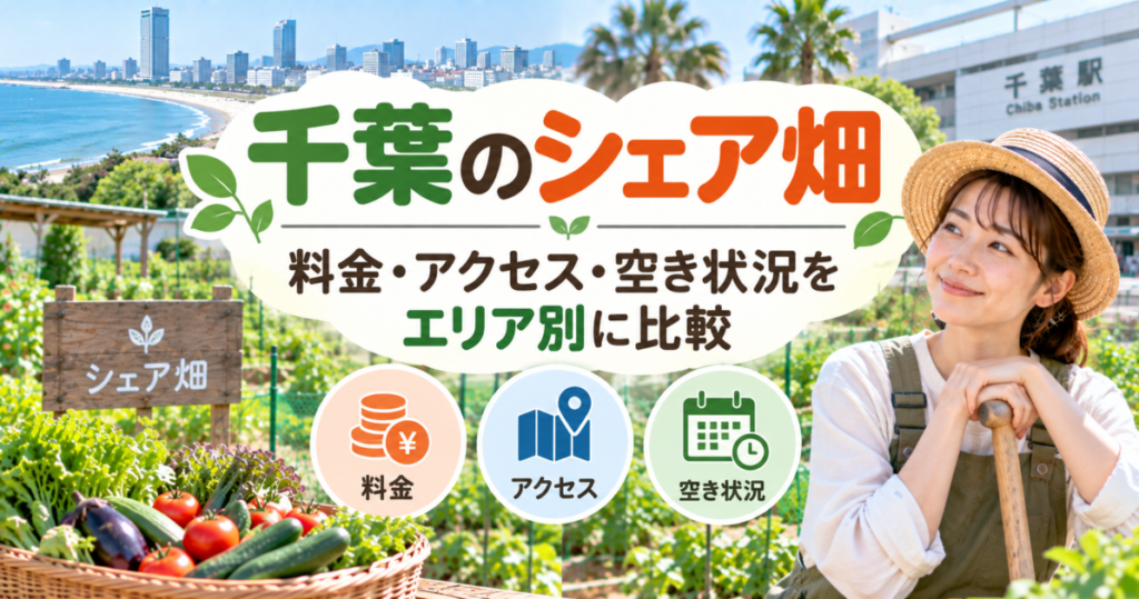 千葉のシェア畑を料金・アクセス・空き状況の3つのポイントから比較するイメージ