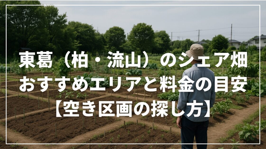 東葛（柏・流山）のシェア畑｜おすすめエリアと料金の目安【空き区画の探し方】