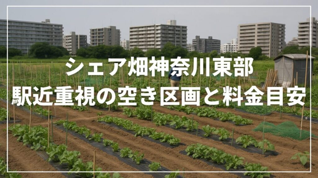 シェア畑神奈川東部｜駅近重視の空き区画と料金目安