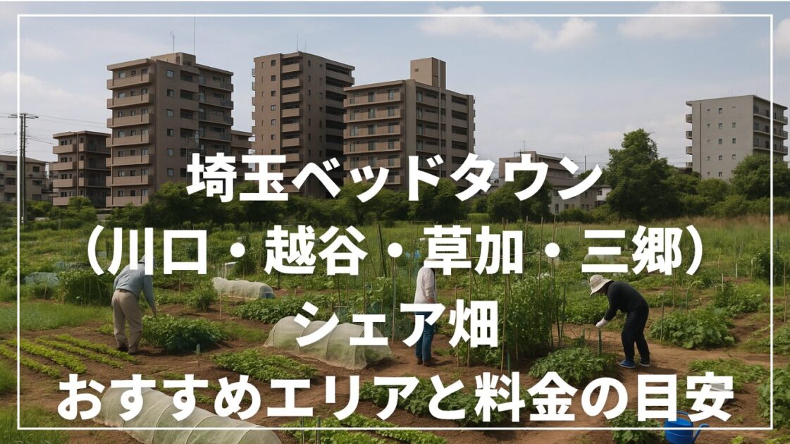 埼玉ベッドタウン（川口・越谷・草加・三郷）のシェア畑｜おすすめエリアと料金の目安