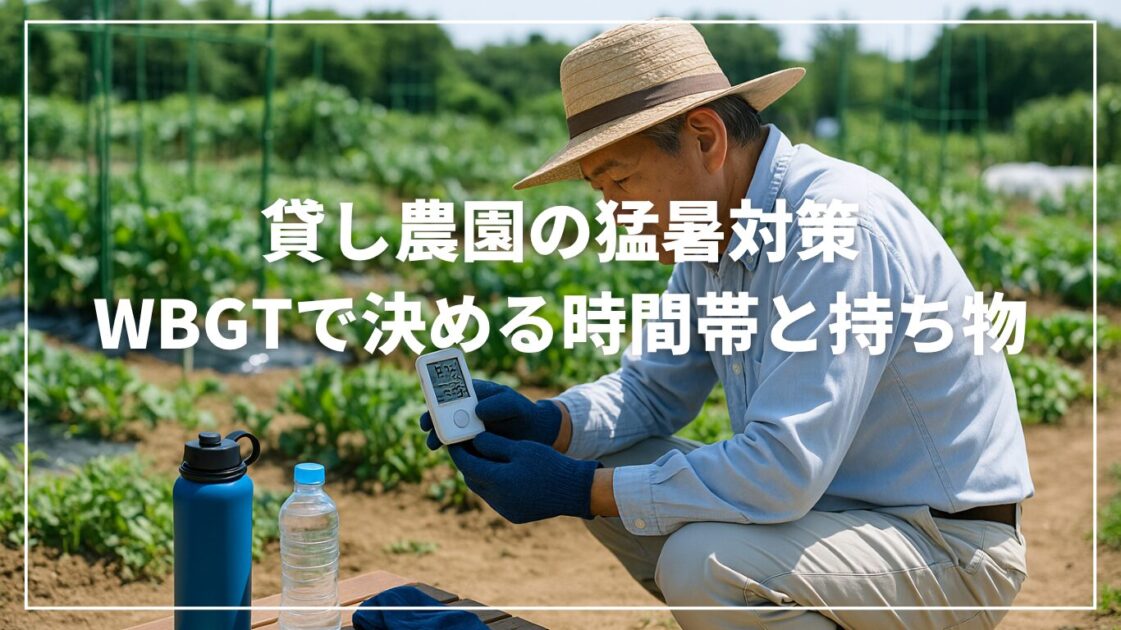 貸し農園の猛暑対策｜WBGTで決める時間帯と持ち物
