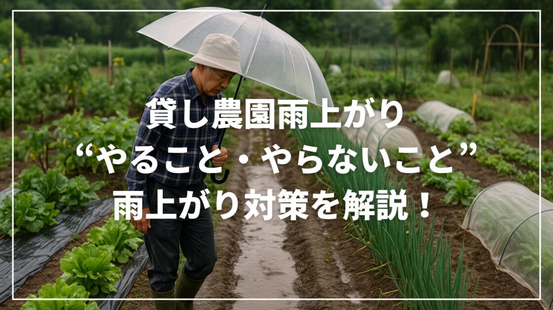 貸し農園雨上がりの“やること・やらないこと”雨上がり対策を解説！