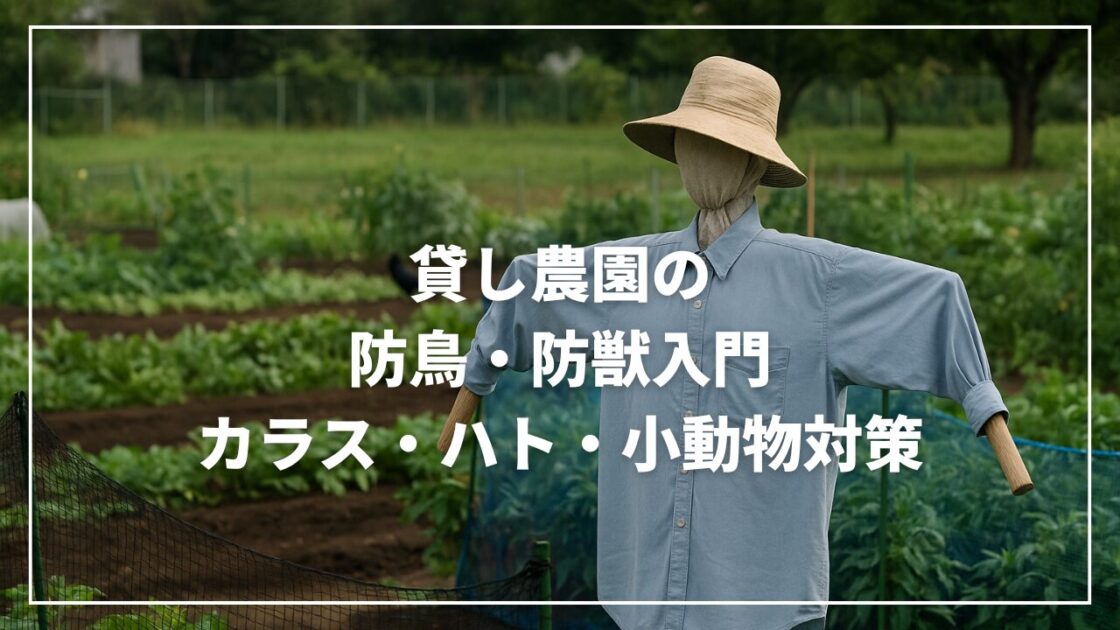 貸し農園の防鳥・防獣入門｜カラス・ハト・小動物対策
