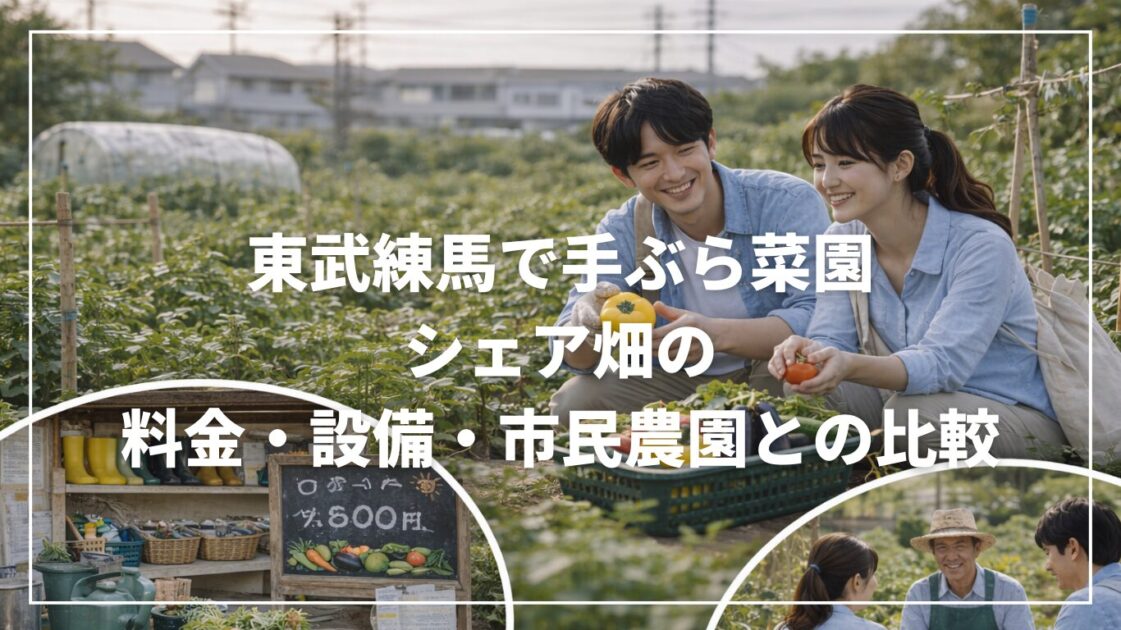 東武練馬で手ぶら菜園｜シェア畑の料金・設備・市民農園との比較