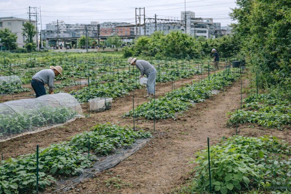 シェア畑志木の料金と区画サイズ