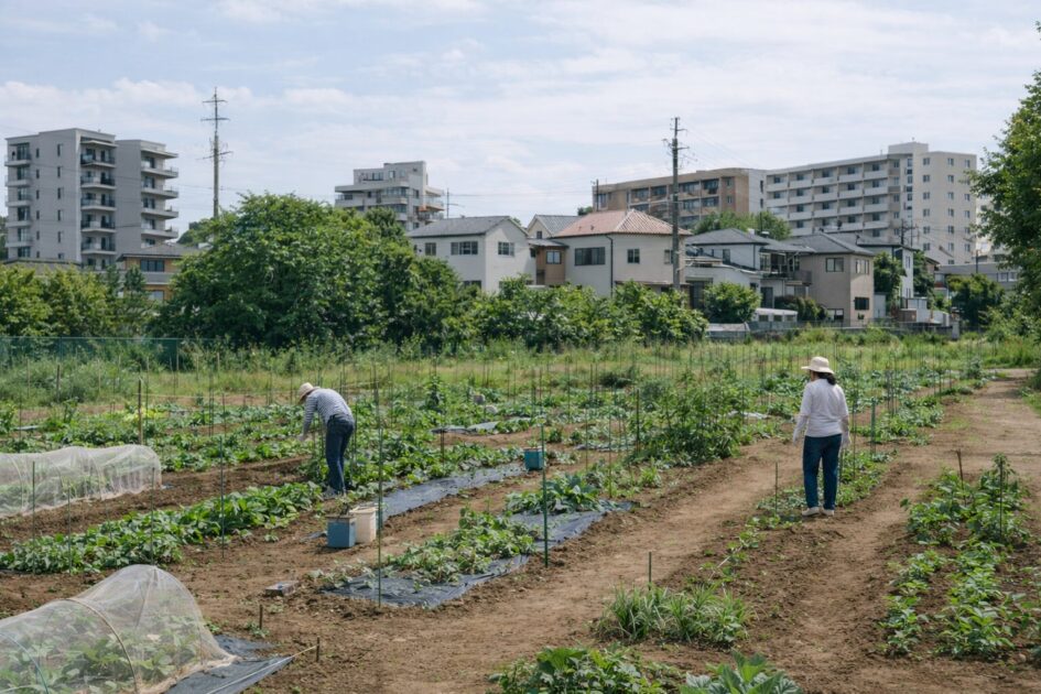 シェア畑「上池台」ってどの辺？まずは候補の考え方
