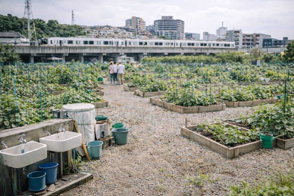 シェア畑放出の料金｜月額・入会金・区画（ウネ）の目安