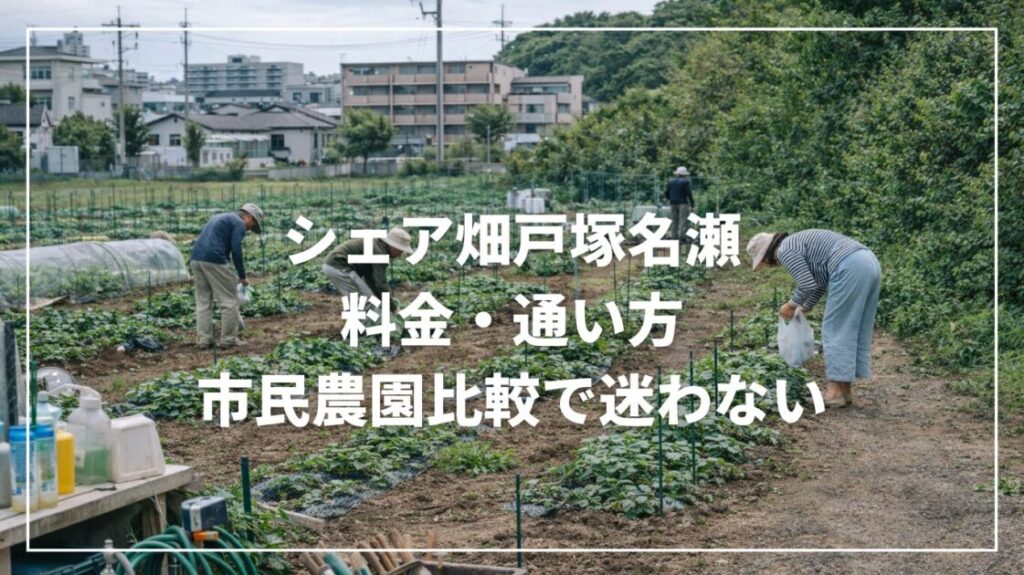 シェア畑戸塚名瀬の料金・通い方｜市民農園比較で迷わない