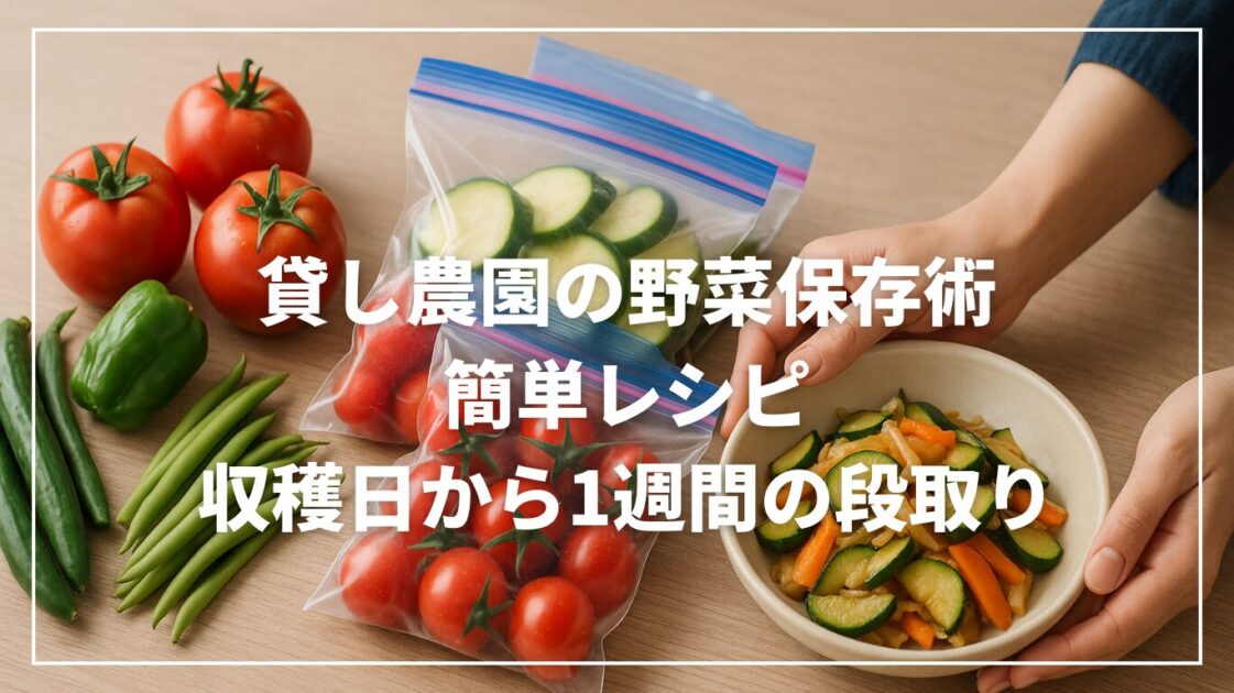 貸し農園の野菜保存術と簡単レシピ｜収穫日から1週間の段取り