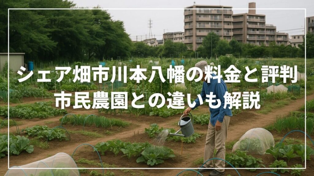 シェア畑市川本八幡の料金と評判｜市民農園との違いも解説