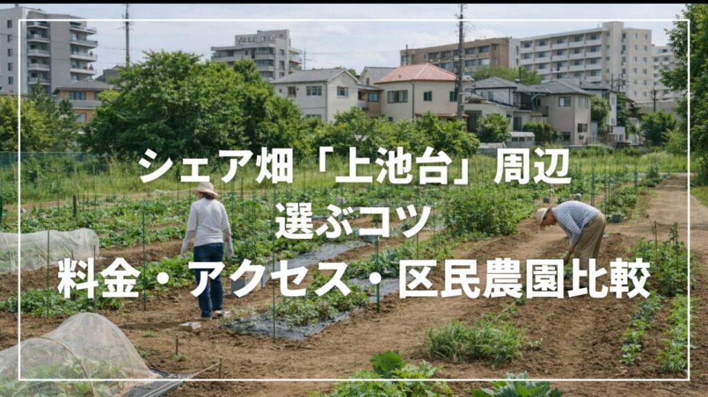 シェア畑「上池台」周辺で選ぶコツ｜料金・アクセス・区民農園比較