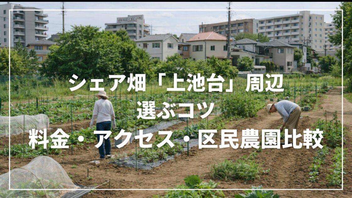 シェア畑「上池台」周辺で選ぶコツ｜料金・アクセス・区民農園比較
