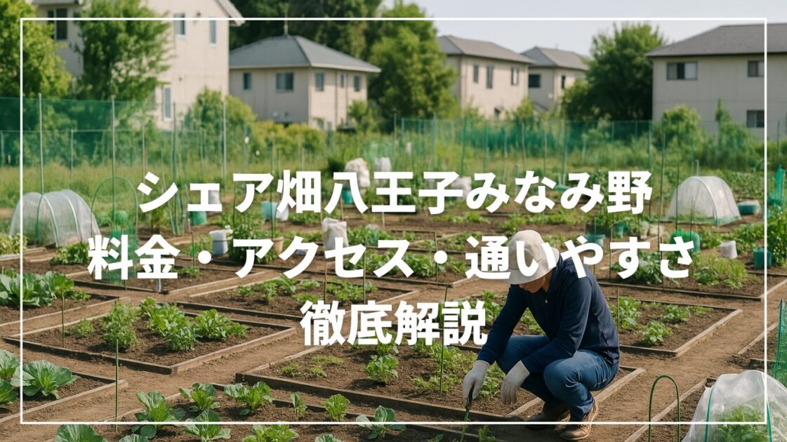 シェア畑八王子みなみ野｜料金・アクセス・通いやすさ徹底解説