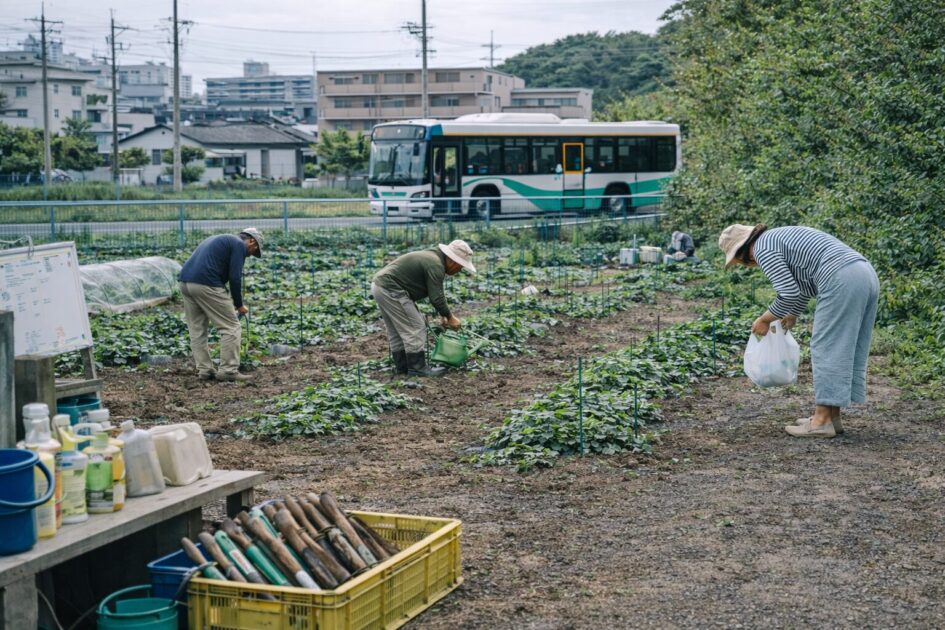 シェア畑戸塚名瀬のアクセスと通いやすさ｜「続くルート」を先に決めよう