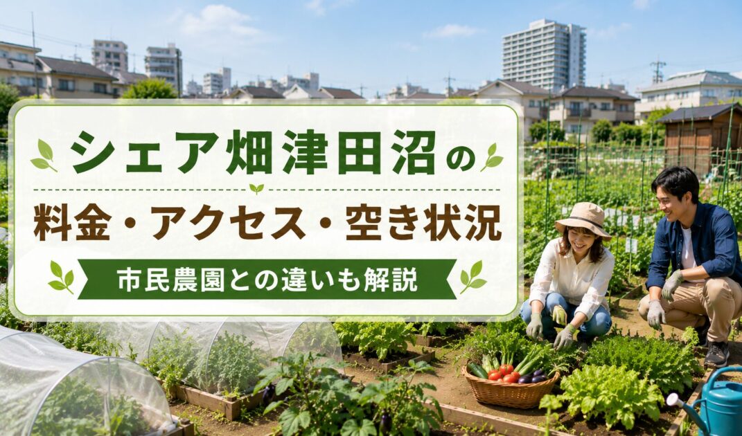 シェア畑津田沼で野菜を育てる利用者。料金やアクセス、市民農園との違いを紹介するイメージ