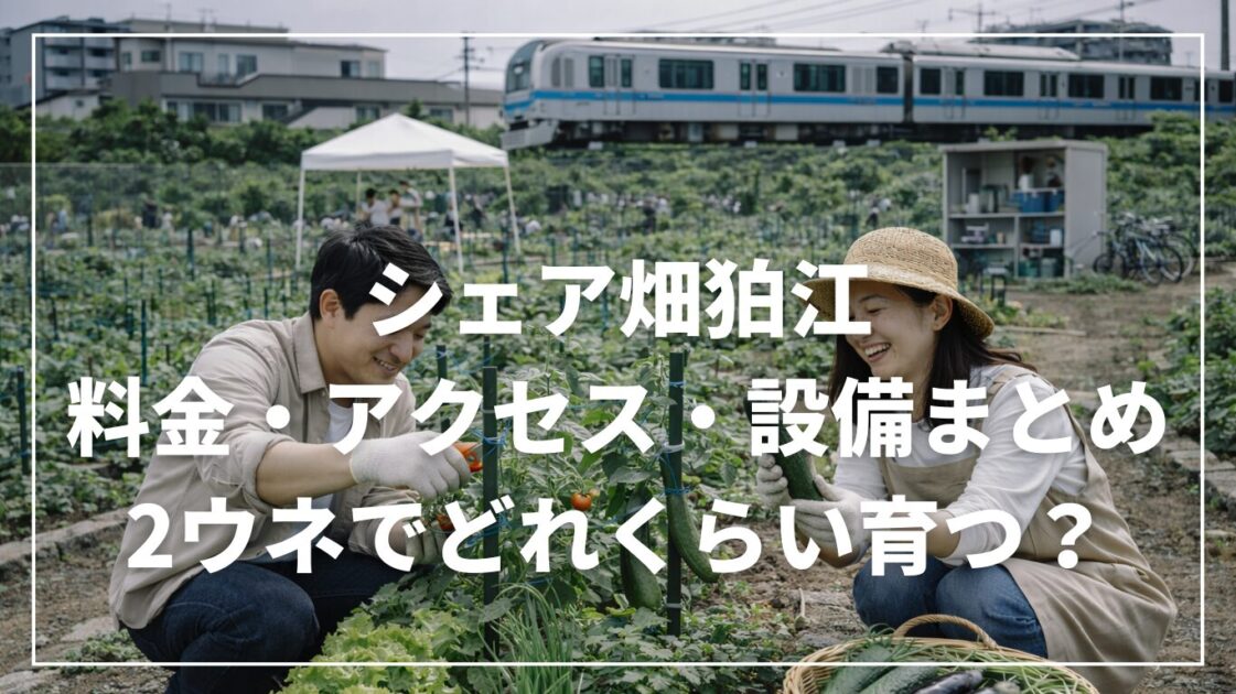 シェア畑狛江の料金・アクセス・設備まとめ｜2ウネでどれくらい育つ？