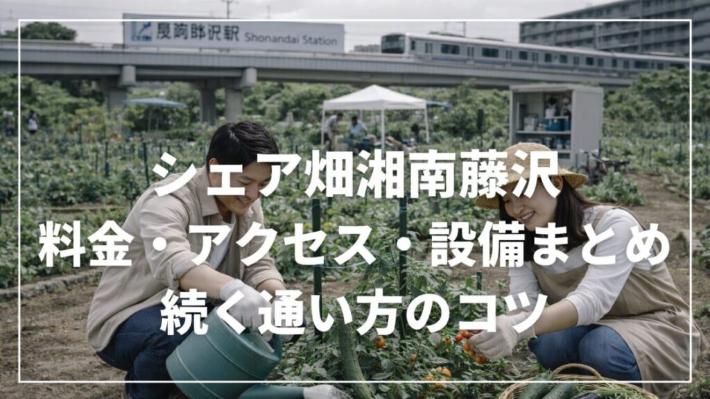 シェア畑湘南藤沢の料金・アクセス・設備まとめ｜続く通い方のコツ