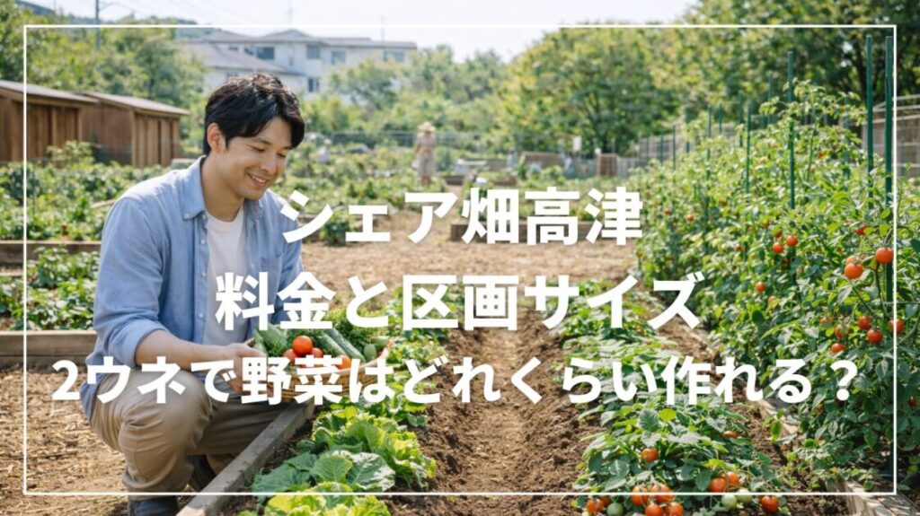 シェア畑高津の料金と区画サイズ｜2ウネで野菜はどれくらい作れる？