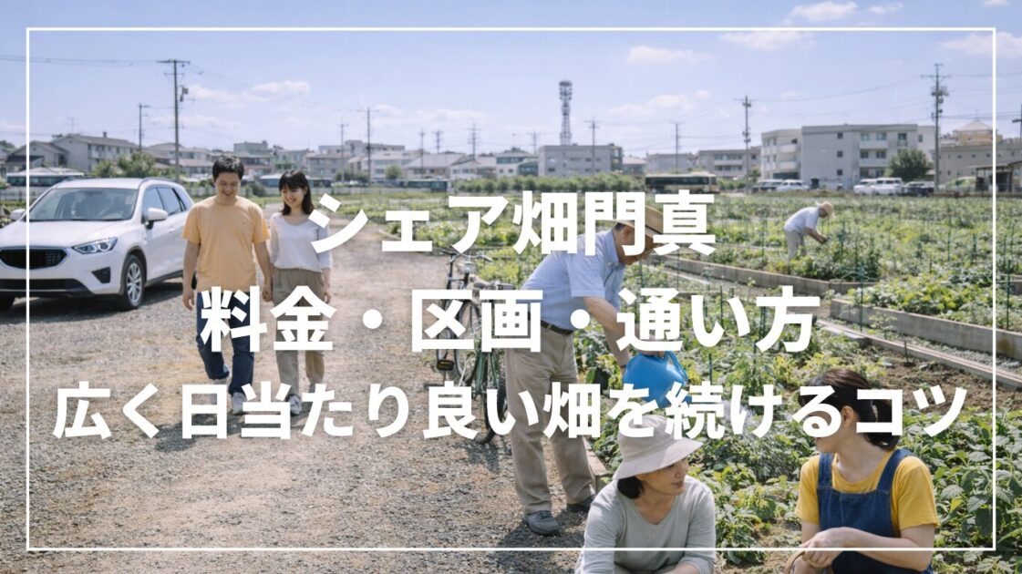 シェア畑門真の料金・区画・通い方|広く日当たり良い畑を続けるコツ