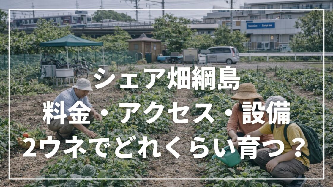 シェア畑綱島の料金・アクセス・設備|2ウネでどれくらい育つ?