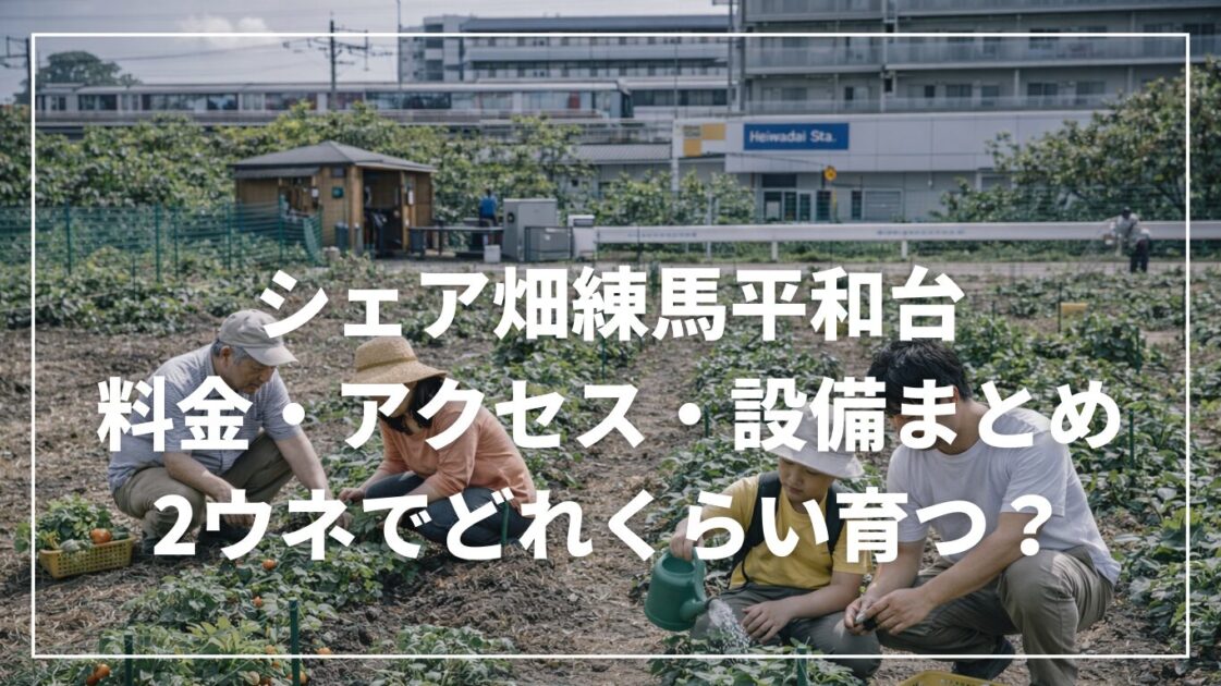 シェア畑練馬平和台の料金・アクセス・設備まとめ｜2ウネでどれくらい育つ？