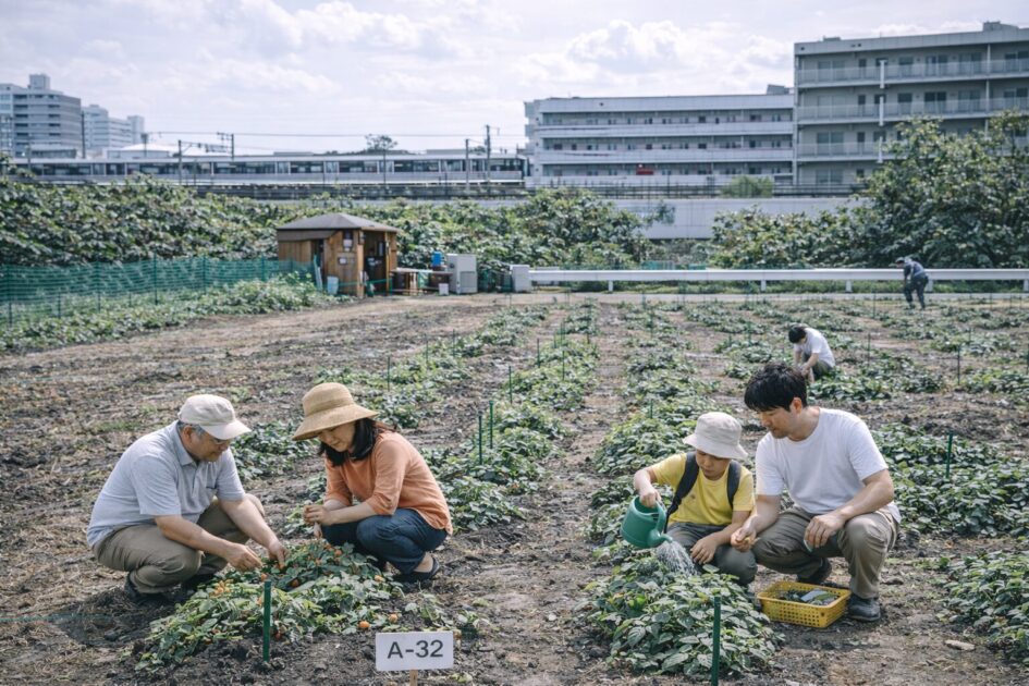 シェア畑練馬桜台ってどんな畑？｜雰囲気と特徴