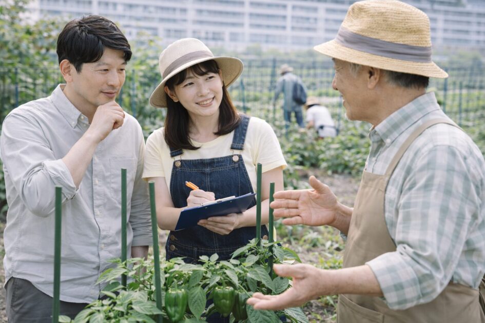シェア畑の見学・説明会で確認すること｜ピーマン目的の質問テンプレ
