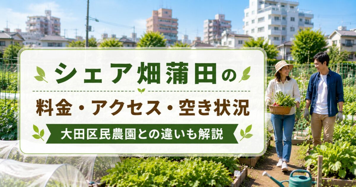 シェア畑蒲田の料金・アクセス・空き状況|大田区民農園との違いも解説