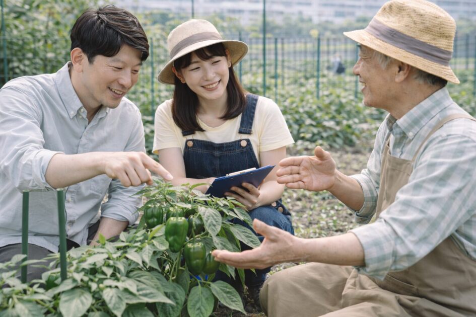 シェア畑ピーマンは「週1動線×相談先」で失敗しにくい