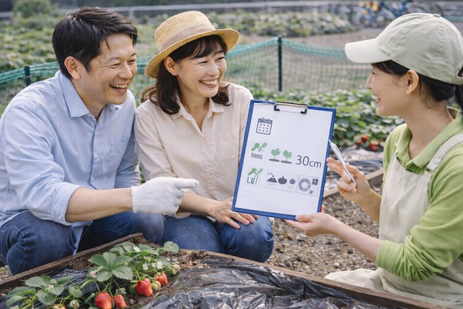 シェア畑いちごは「時期×株数×対策」を先に決めると続けやすい