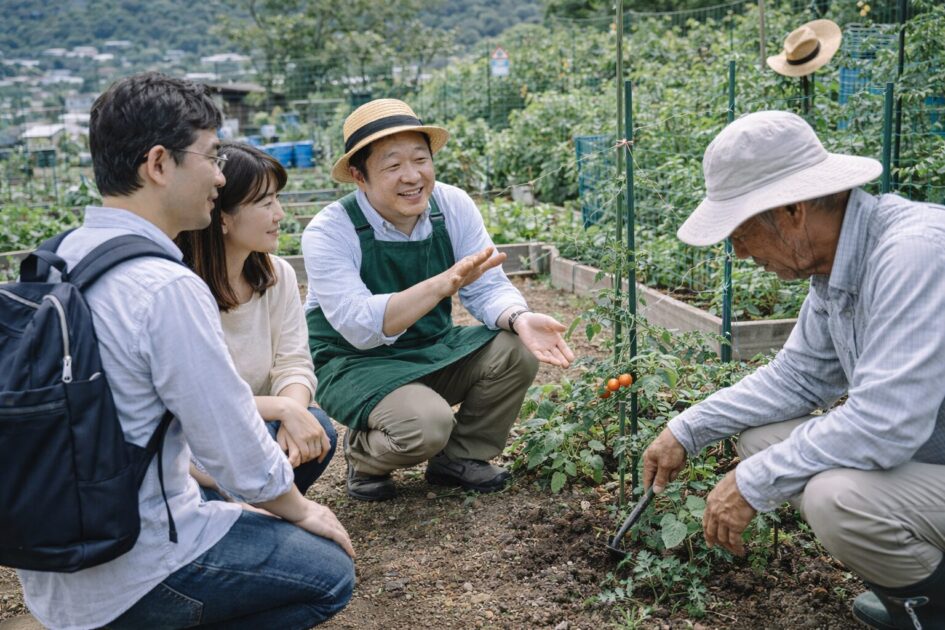 【比較】シェア畑と市民農園・家庭菜園の違い｜費用より「続けやすさ」で選ぶ
