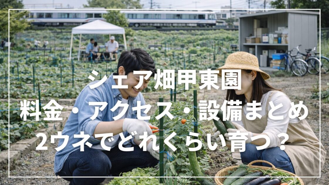 シェア畑甲東園の料金・アクセス・設備まとめ|2ウネでどれくらい育つ?