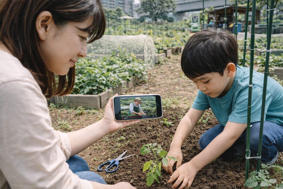 動画の学びをシェア畑で活かすコツ｜ルールに合わせて翻訳する
