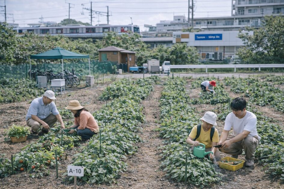 シェア畑綱島ってどんな畑?|雰囲気と特徴