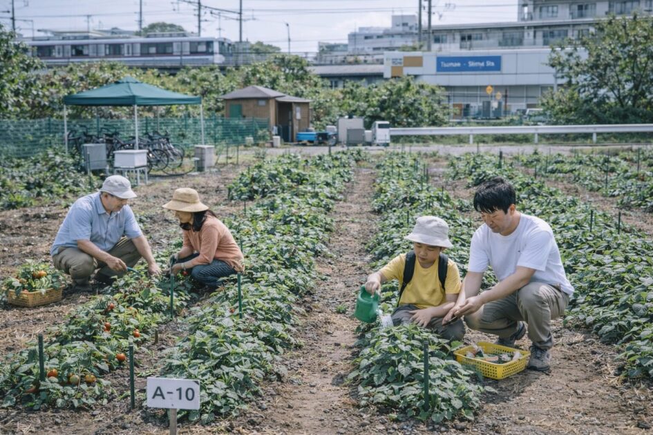 シェア畑綱島の料金と区画サイズ|「2ウネ」でどれくらい育つ?