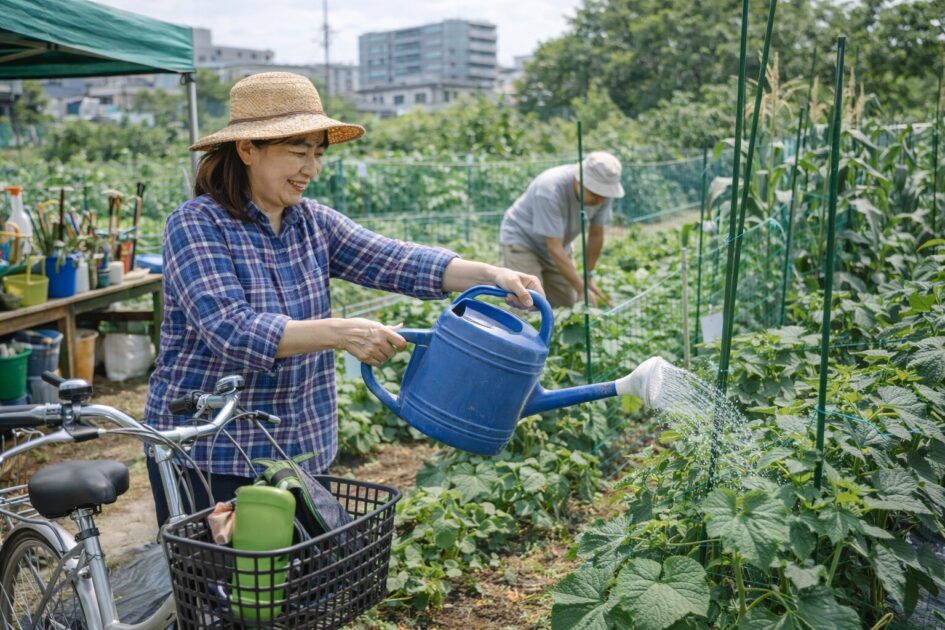 シェア畑目黒柿の木坂で手ぶら菜園を続けるコツ