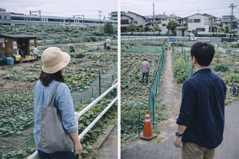 【比較】茨木市近隣のシェア畑候補と使い分け｜料金・通い方で選ぶ