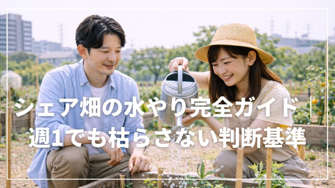シェア畑の水やり完全ガイド｜週1でも枯らさない判断基準