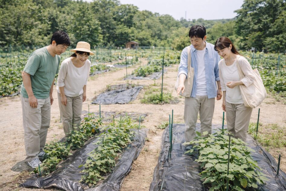 料金と区画サイズ｜月額と1年目総額の見方（2ウネ／3ウネ）
