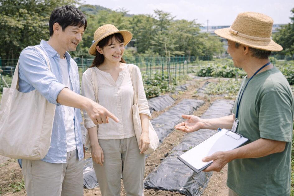 料金と区画サイズ｜月額と1年目総額の見方（2ウネ／3ウネ）