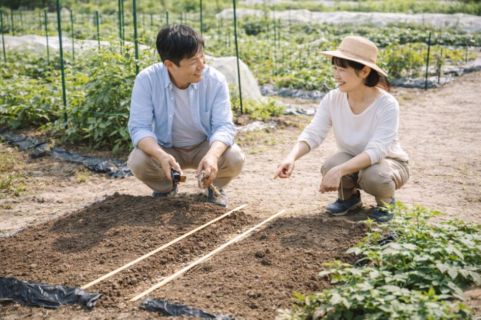 料金と区画サイズ｜月額と1年目総額の見方（2ウネ／4ウネ）