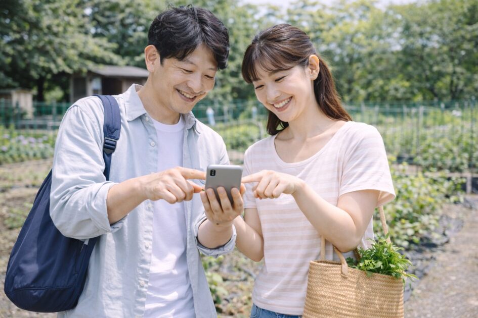 料金と区画サイズ｜月額と1年目総額の見方（2ウネ／3ウネ／4ウネ）